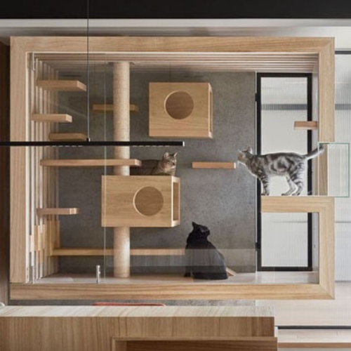 ideia decoração para quem tem gatos estar