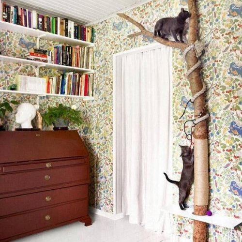 ideia decoração para quem tem gatos tronco