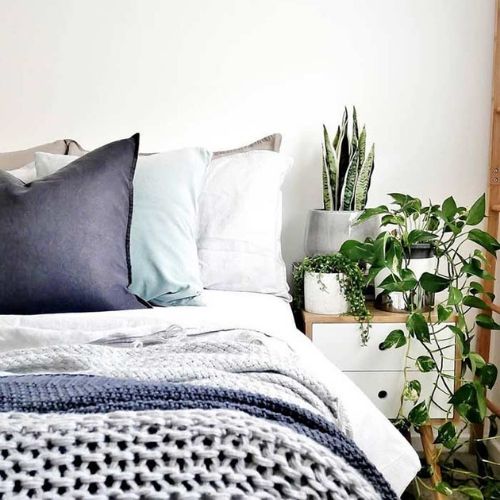 decoração de quarto simples e barato com plantas