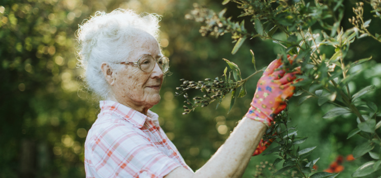 demência em idosos primeiros sinais