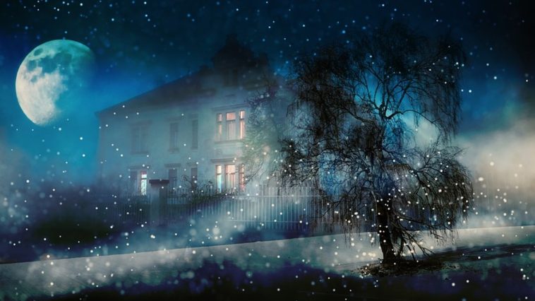 Enigmas policiais para exercitar a lógica