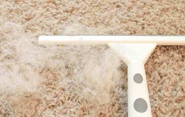 dica-de-limpeza-pelos