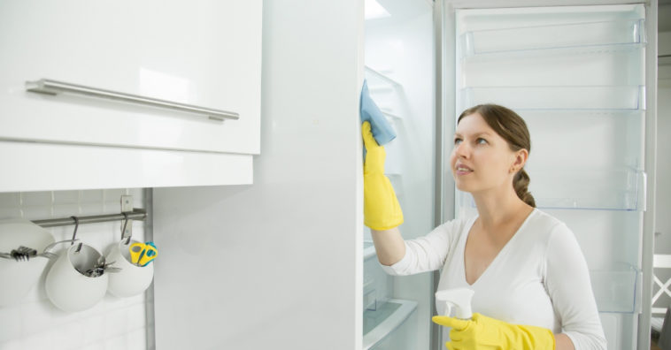 limpar e organizar freezer