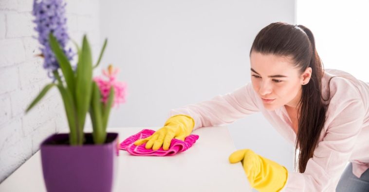 dicas cronograma de limpeza