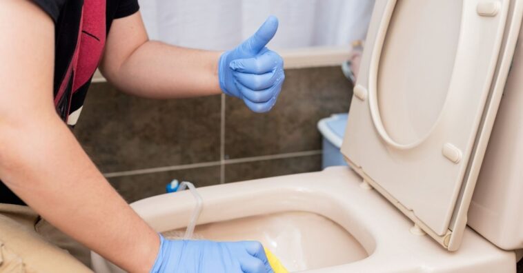 como limpar vaso sanitário encardido