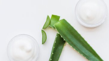 como usar babosa nos olhos