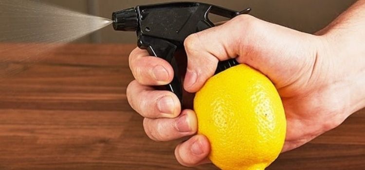 dicas de cozinha para spray de limão