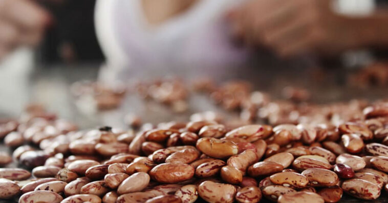 dicas feijão mais gostoso