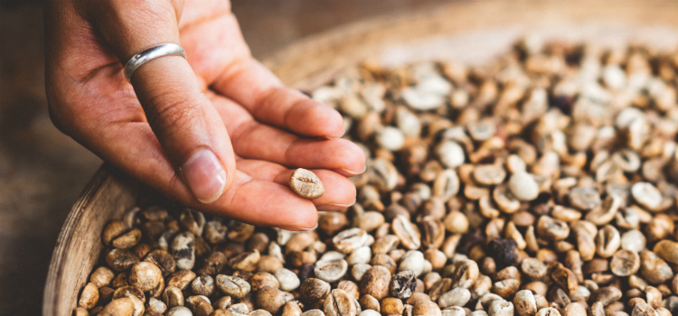 dieta para combater ácido úrico alto