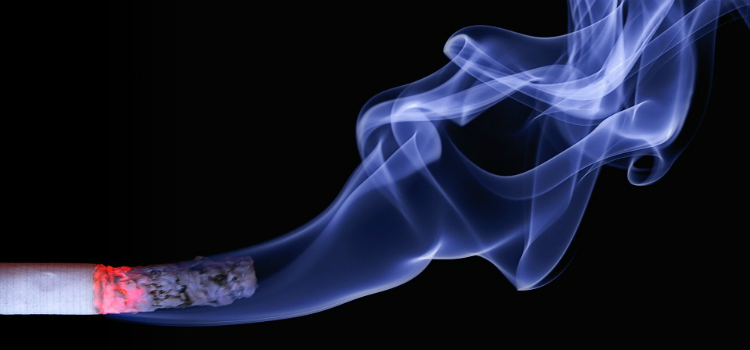 dietas que matam mais que o cigarro dicas