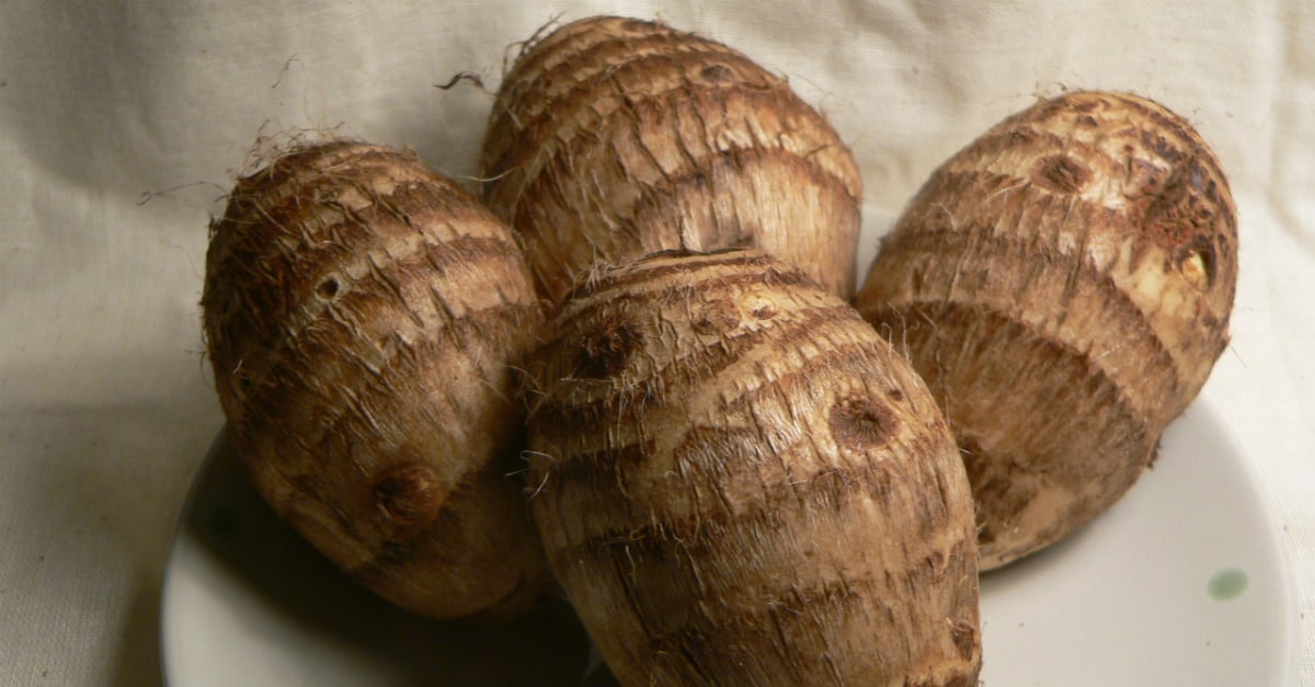 diferença e semelhança do inhame e do cara