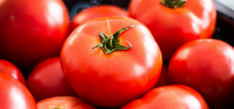diureticos naturais tomate