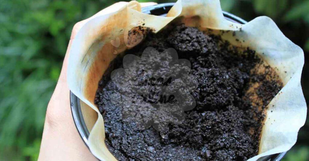 eliminar-celulite-borras-cafe