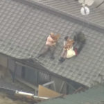 em inundação casal se recusa a sair do telhado sem seus cachorros