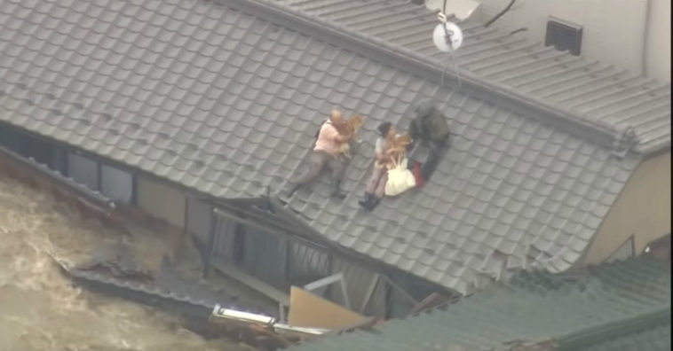 em inundação casal se recusa a sair do telhado sem seus cachorros