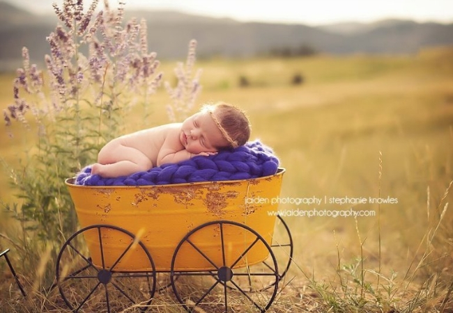 ideia ensaio fotografico de bebe campo