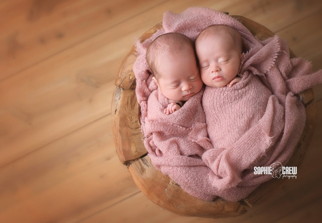 ideia ensaio fotografico de bebe purista