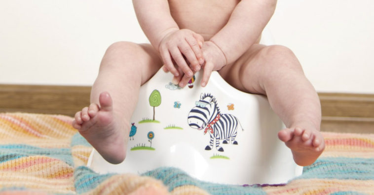 ensinar o bebê a usar o penico