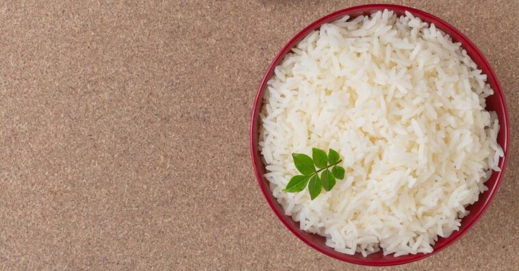 erros ao cozinhar arroz