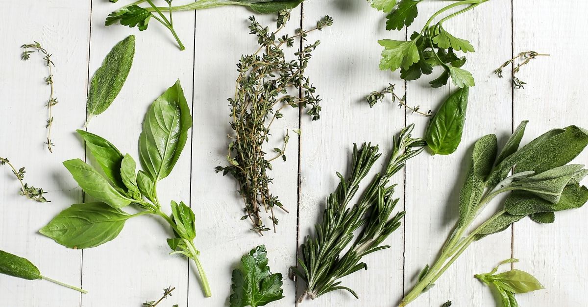 ervas e raízes boas para o pulmão