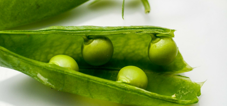 consumir ervilha safra de julho