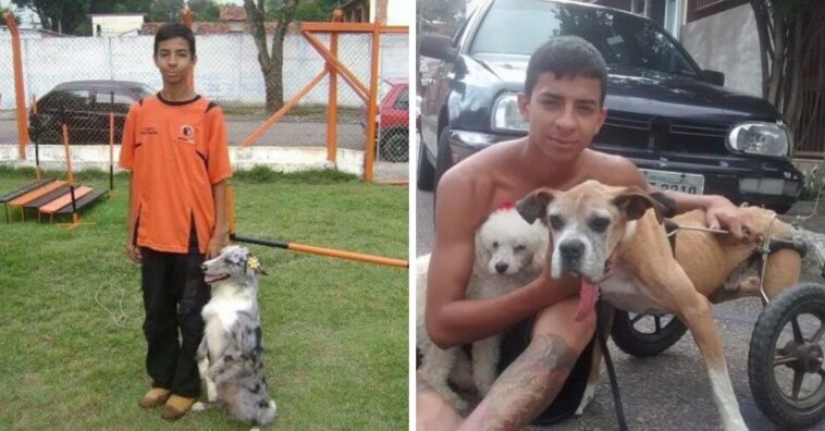 esdras protetor de animais