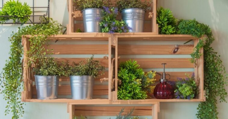 estante para plantas