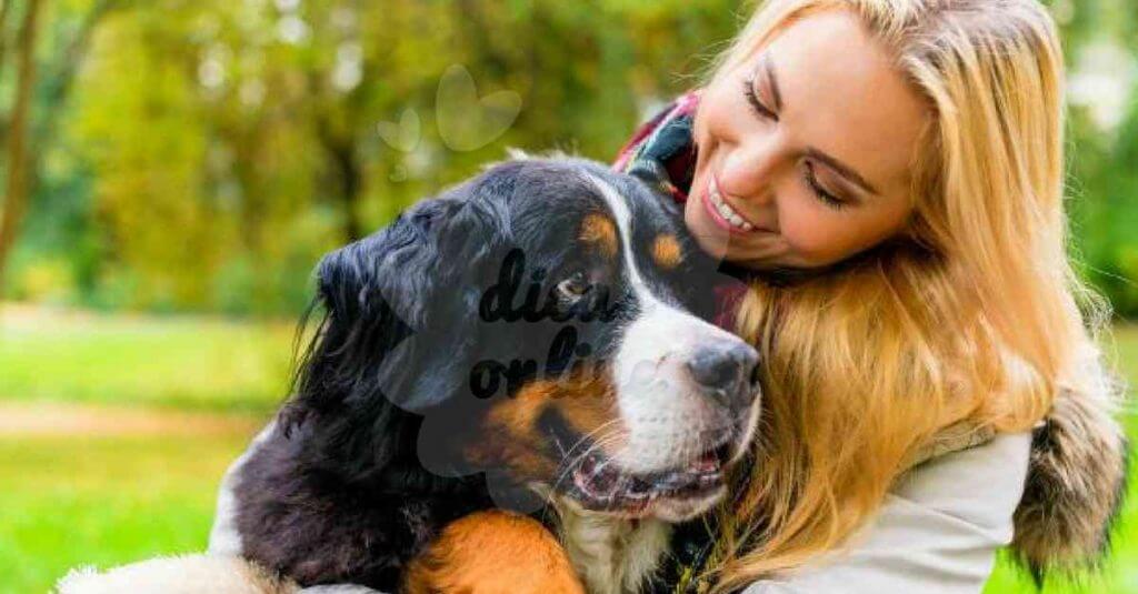 evitar-pulgas-animal