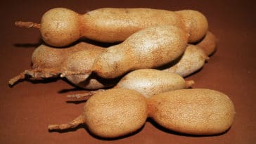 como fazer polpa de tamarindo