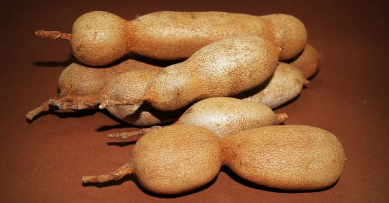 como fazer polpa de tamarindo