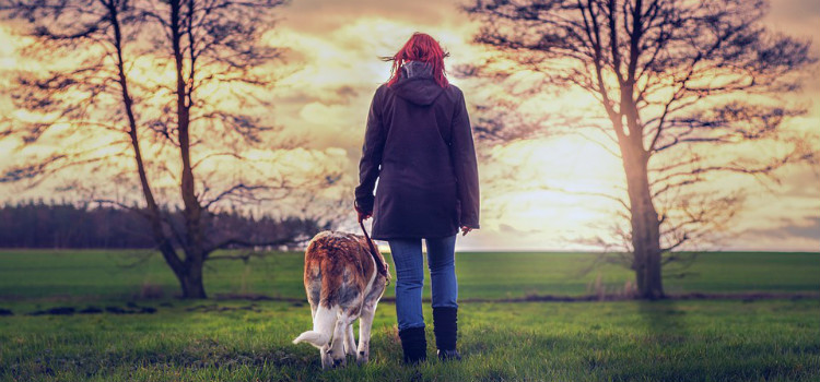 falar com seu cachorro passear