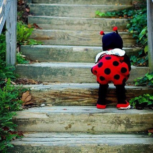 ideia de fantasia de carnaval para bebê joaninha