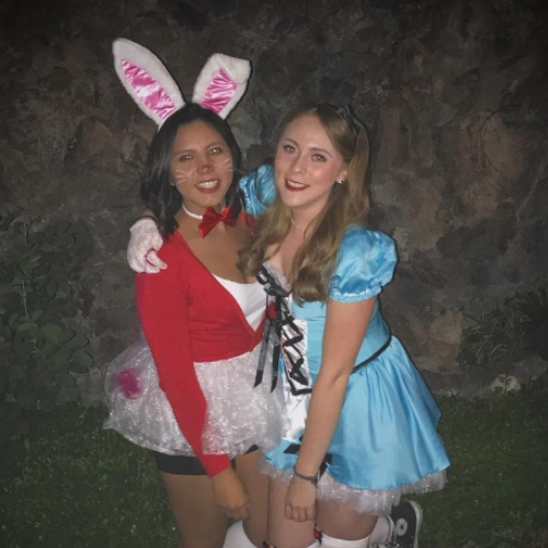 ideias de fantasias de halloween para amigas alice