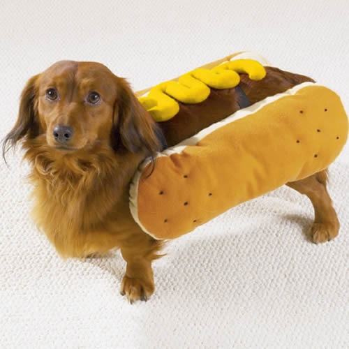 ideias de fantasias para cachorros hot-dog