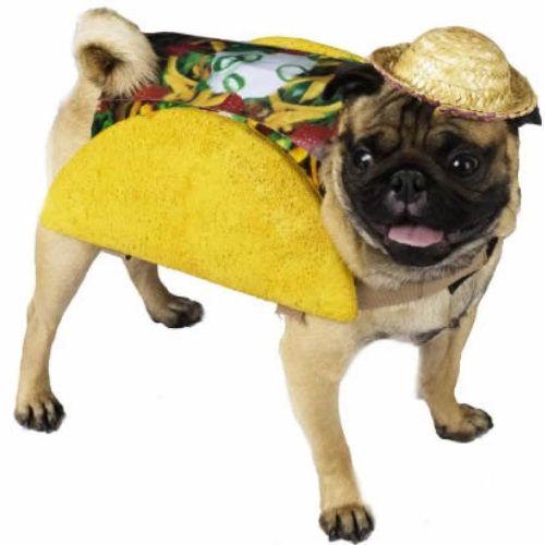 ideias de fantasias para cachorros nachos