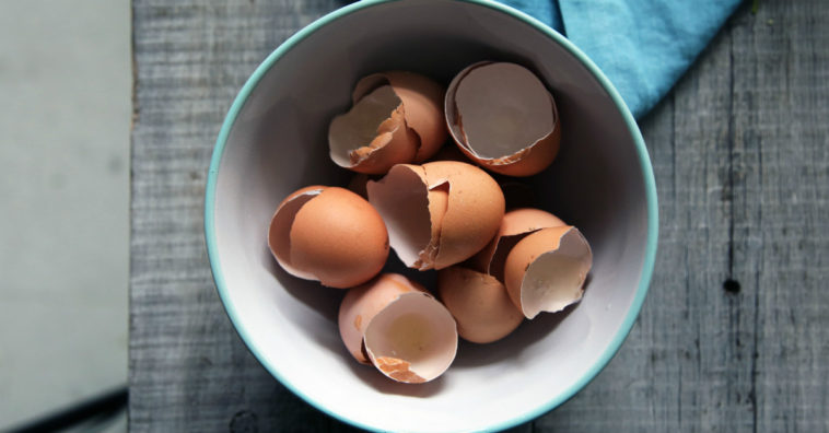 farinha de casca de ovo benefícios