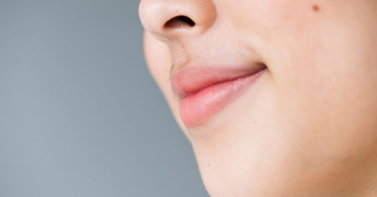 protetor labial caseiro