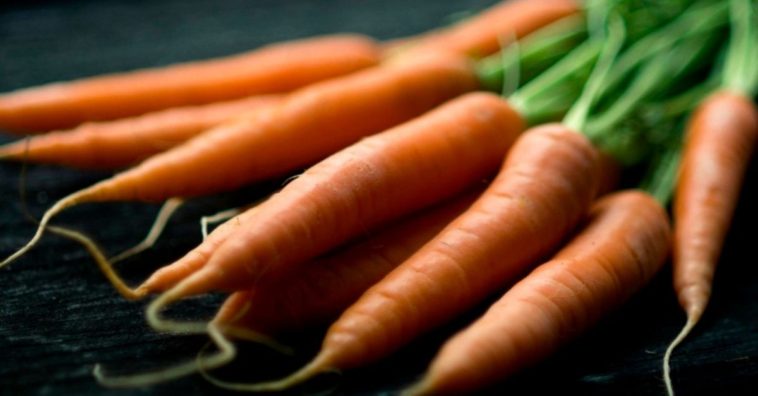 óleo de cenoura caseiro