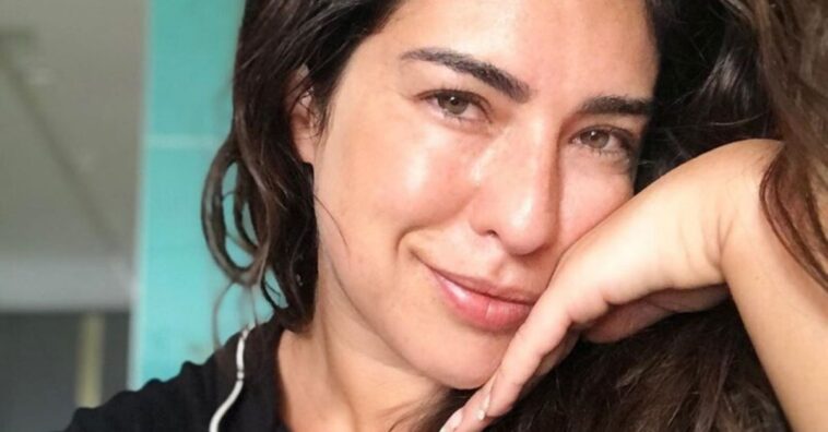 fe paes leme twitter contra o governo