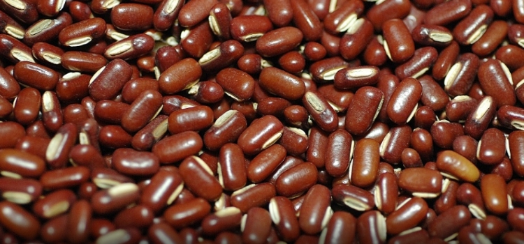 tipos de feijão azuqui