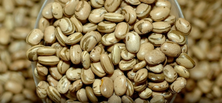 tipos de feijão carioca