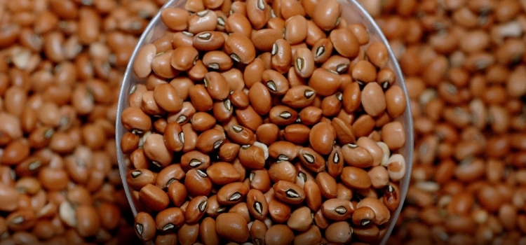 tipos de feijão de corda