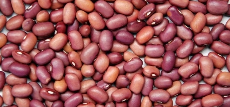tipos de feijão roxinho