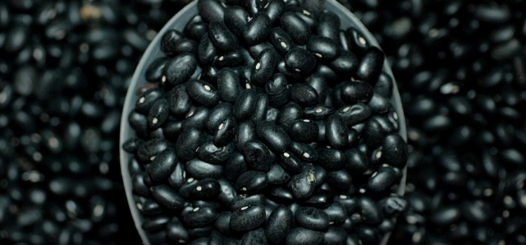 tipos de feijão preto