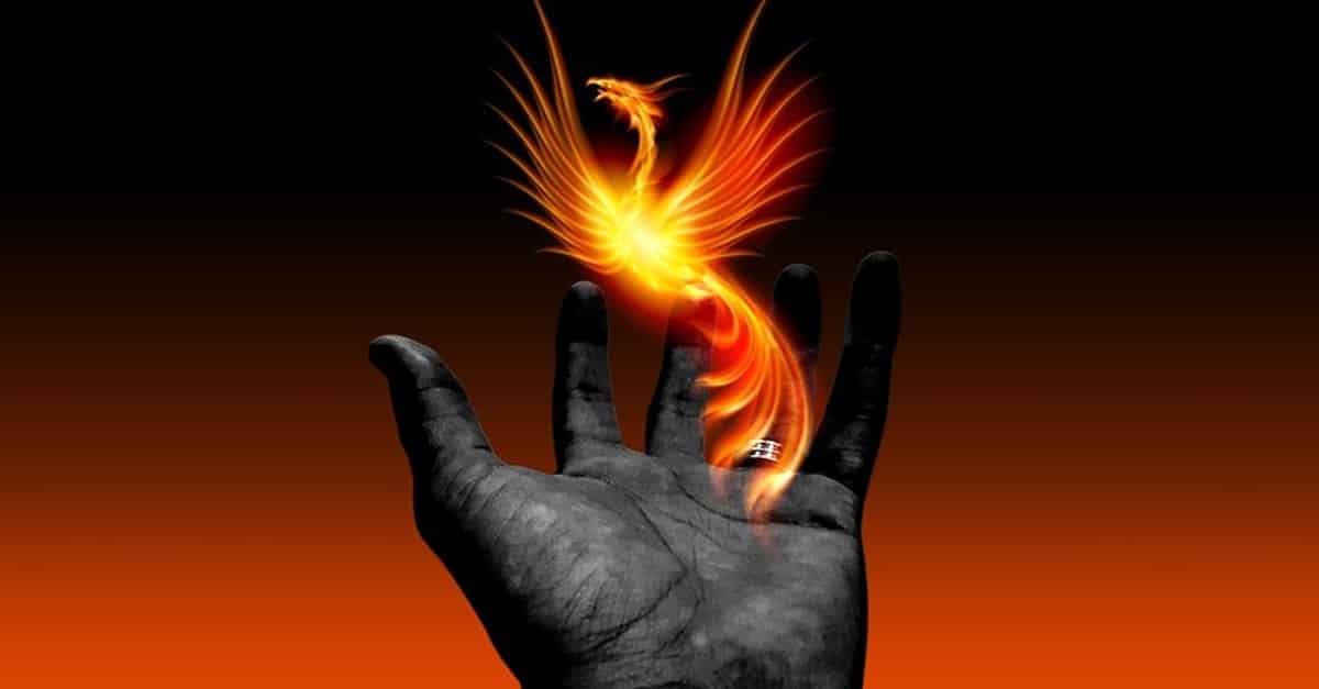 história da Fenix ensina resiliência