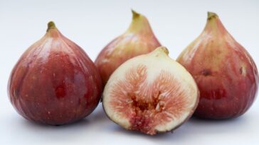 figos são formados com ajuda de um inseto