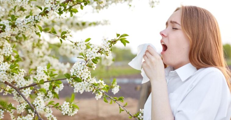flores que causam mais alergia