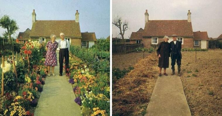 foto de casal de idosos em casa