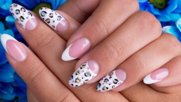 modelos de francesinha reversa