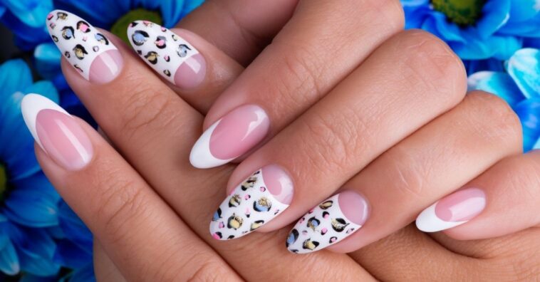 modelos de francesinha reversa